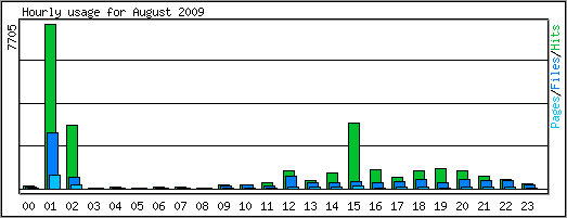 Hourly usage