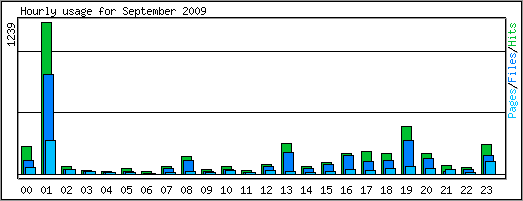 Hourly usage