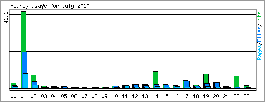 Hourly usage