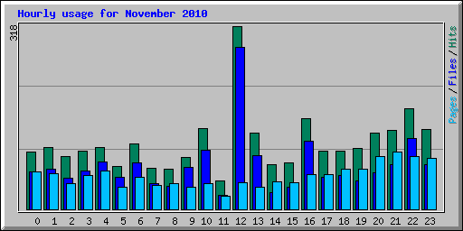 Hourly usage for November 2010