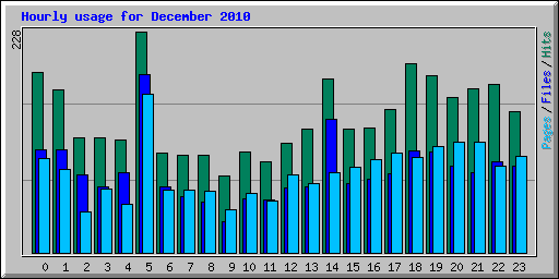 Hourly usage for December 2010