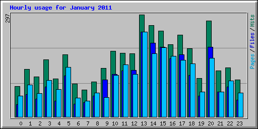 Hourly usage for January 2011